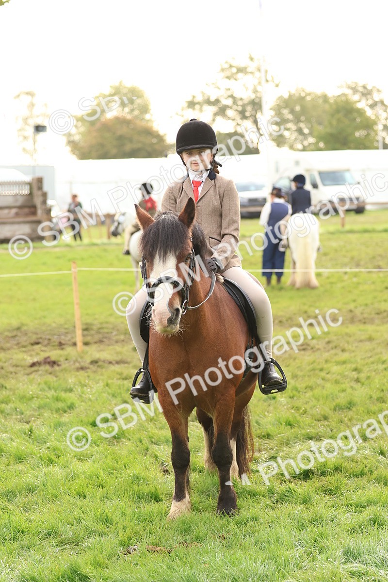 SBM_56655 - S40 - Starters Ridden Showing