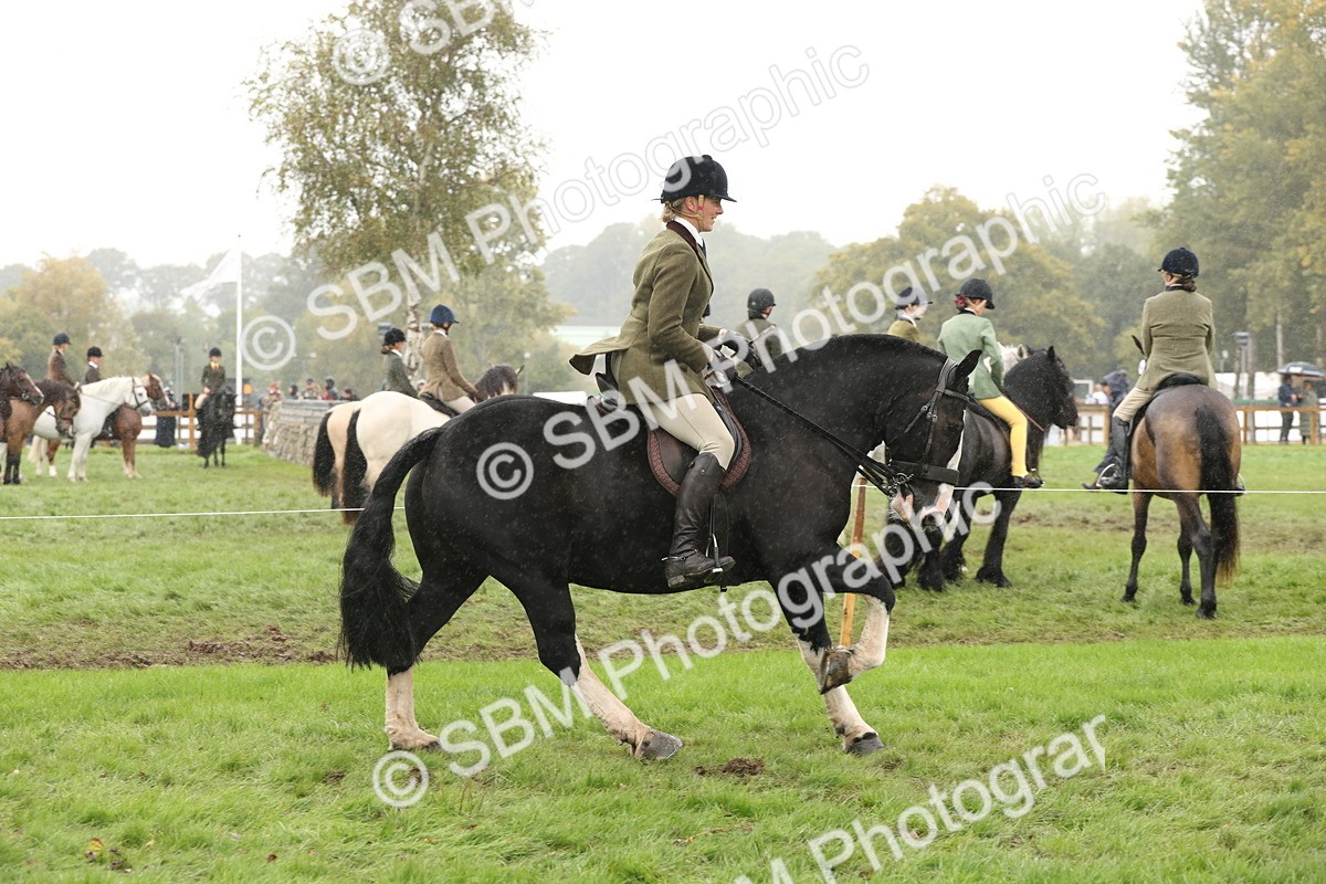SBM_69809 - S69 - Show Cob Ridden