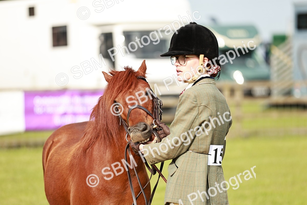 SBM_00470 - Class 14-23 - Mountain & Moorland In Hand Non Welsh
