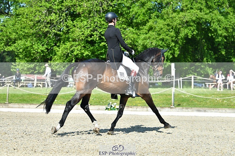 230525-091257-03712 - 403-BALLYCOOG_BREAKER_BOY-Will_Rawlin-DR