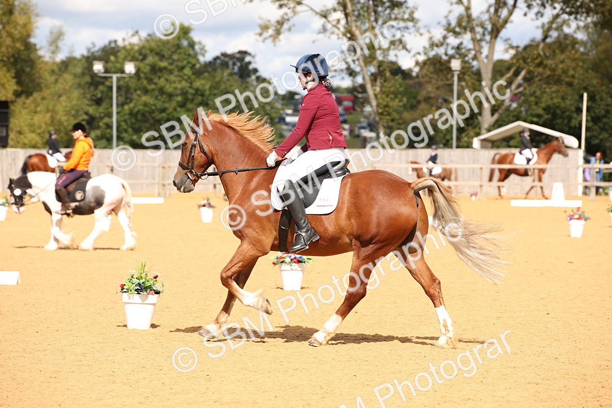 SBM_06748 - D8 Small Tour Championship Prelim 7