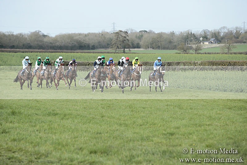 PtP 230319 397 - VWH Hunt Siddington Point-to-Point Racing 23/03/19