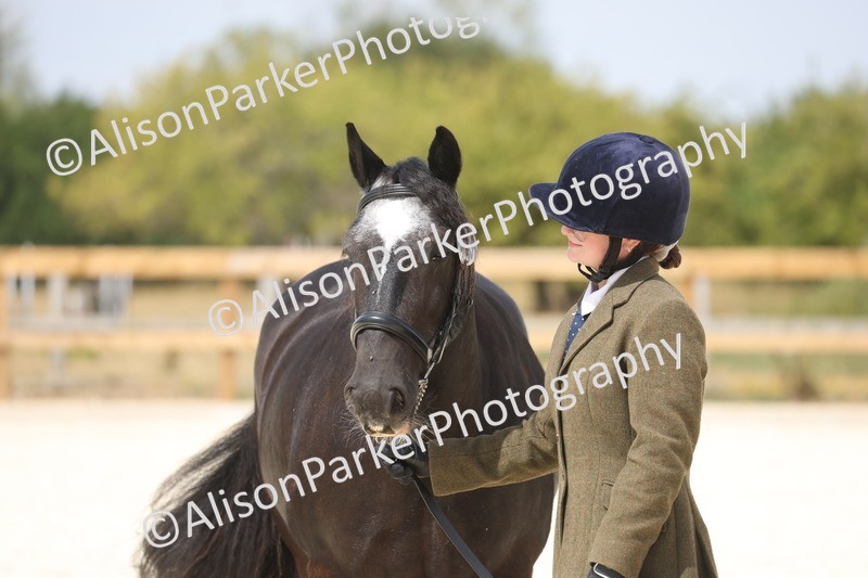 20260802-1505 - Class 16 - Best Horse or Pony