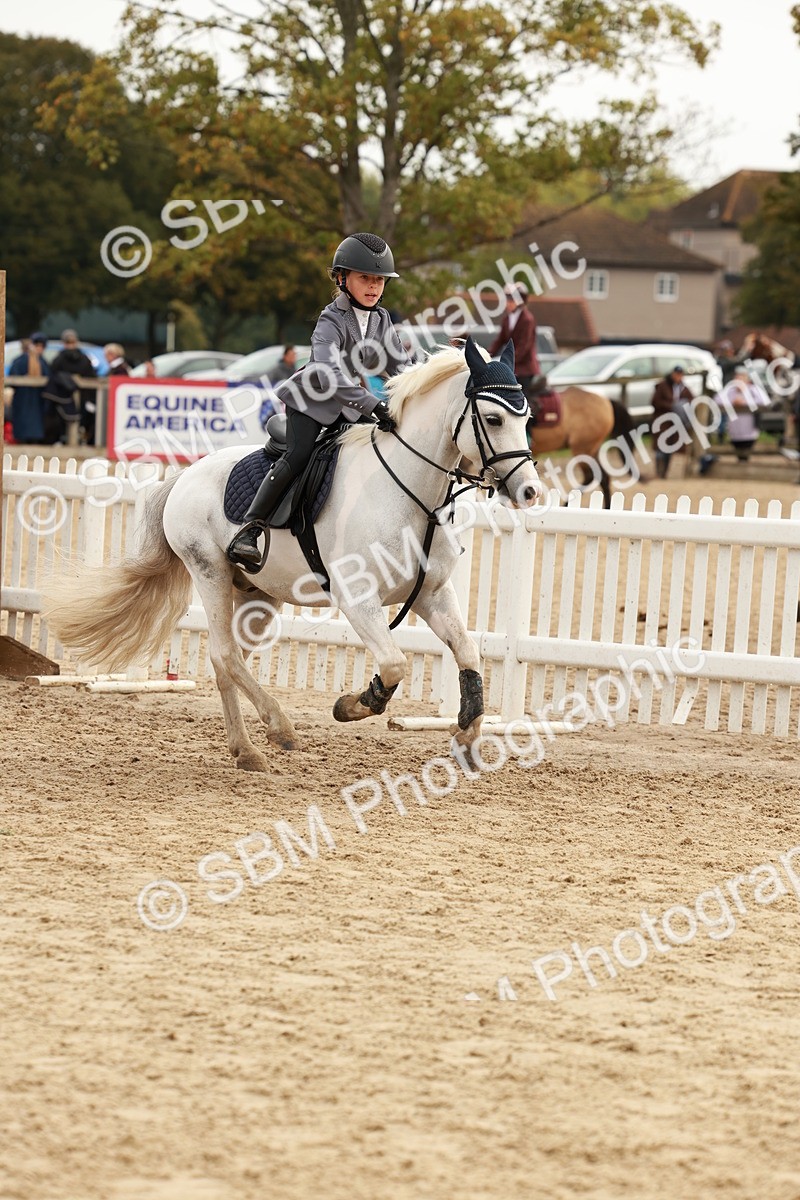 SBM_57754 - J11 - Junior Pony 50cm Championship