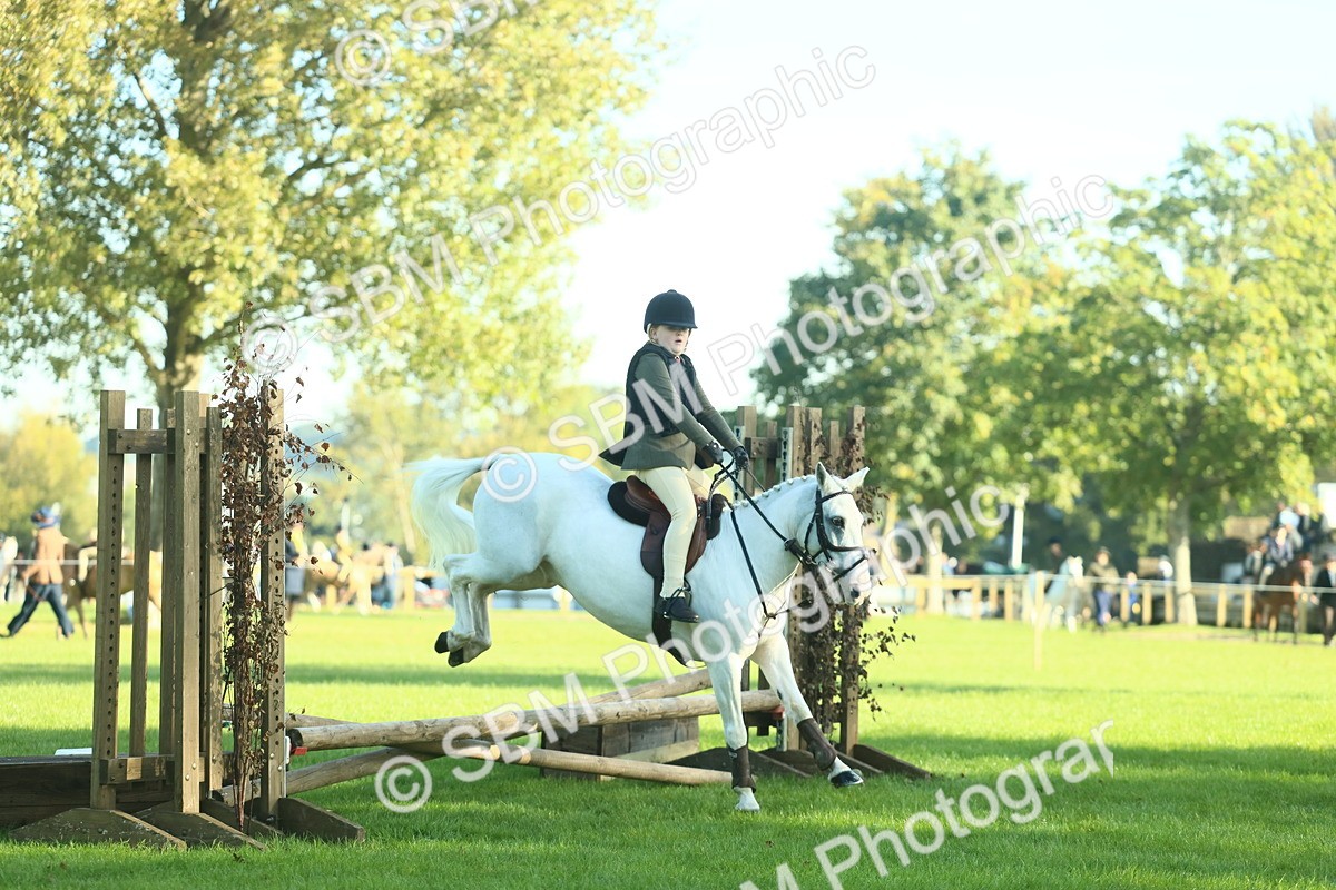 SBM_36272 - S29 - Novice & Newcomers Working Hunter Pony