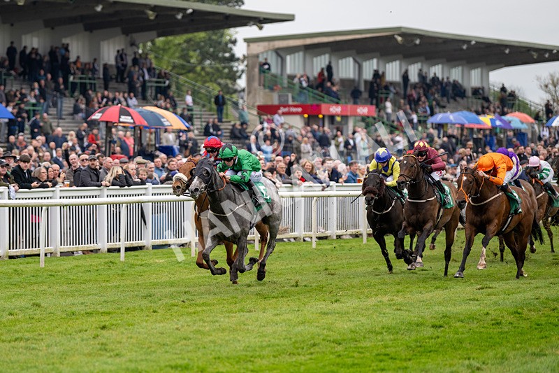 040524-Race 4-Star Of Lady M-4496 - Race 4