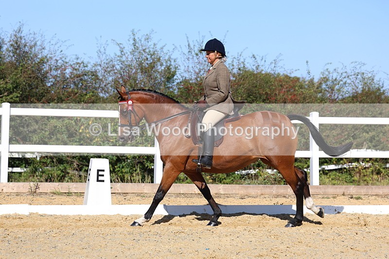 3E7A5742 - Class 10: Riding Horse
