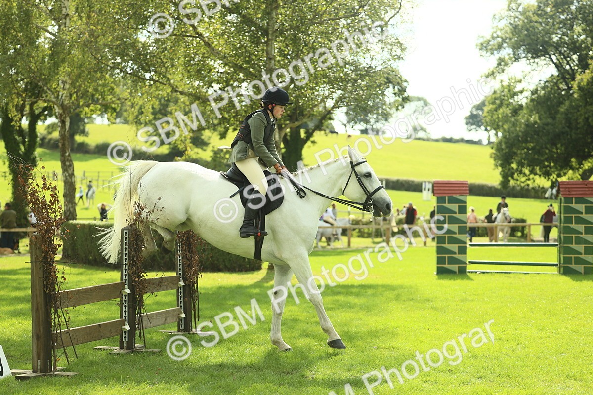 SBM_48036 - S32 - Novice & Newcomers Working Hunter