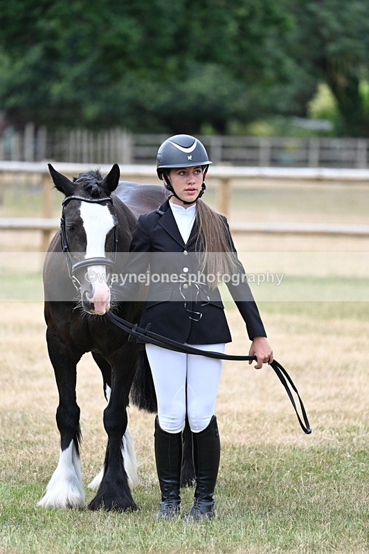 WJ7_1485 - Class 4 Prettiest Mare up to 14.2hh in hand