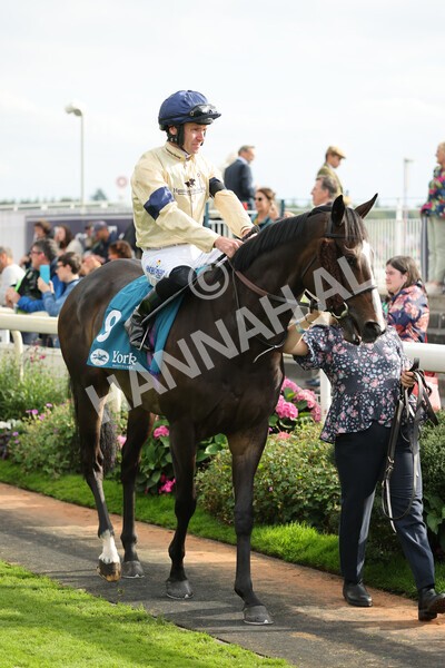 yr04092022r6-11 - Race 6 4.40pm Hanson Springs Stakes