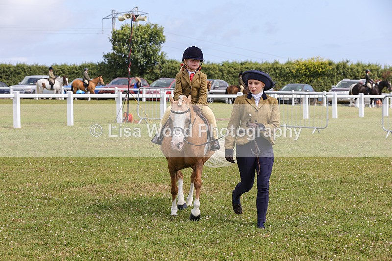 1X9A3636 - Class 29: Lead Rein SP/SHP