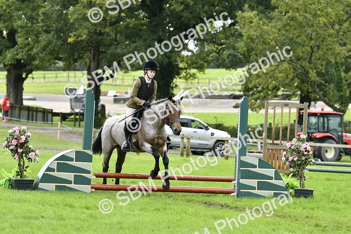 SBM_41454 - S32 - Mountain & Moorland Working Hunter Pony