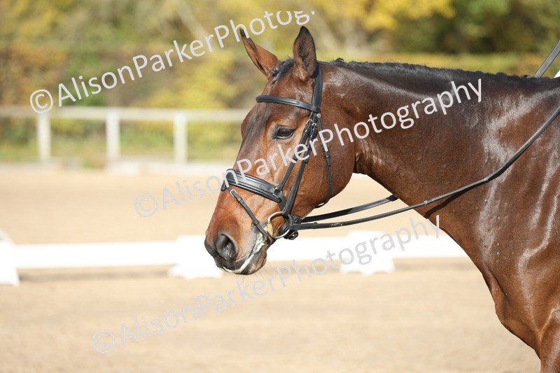 20251102-1111 - Class 6 - Elementary 6