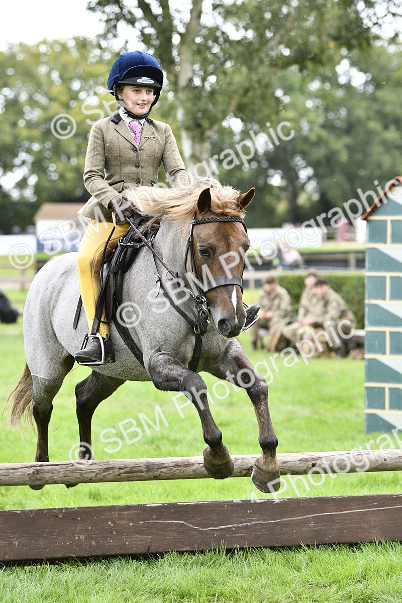 SBM_41333 - S32 - Mountain & Moorland Working Hunter Pony