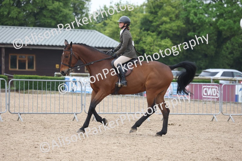 20260504-1193 - Class 14 - Cob and Hunter
