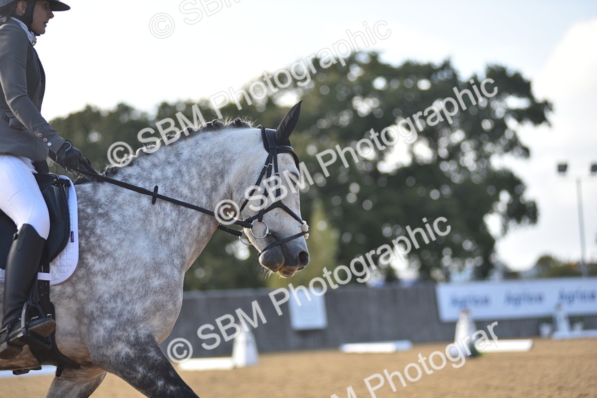 SBM_29737 - D16 -Small Tour Championship Novice 2