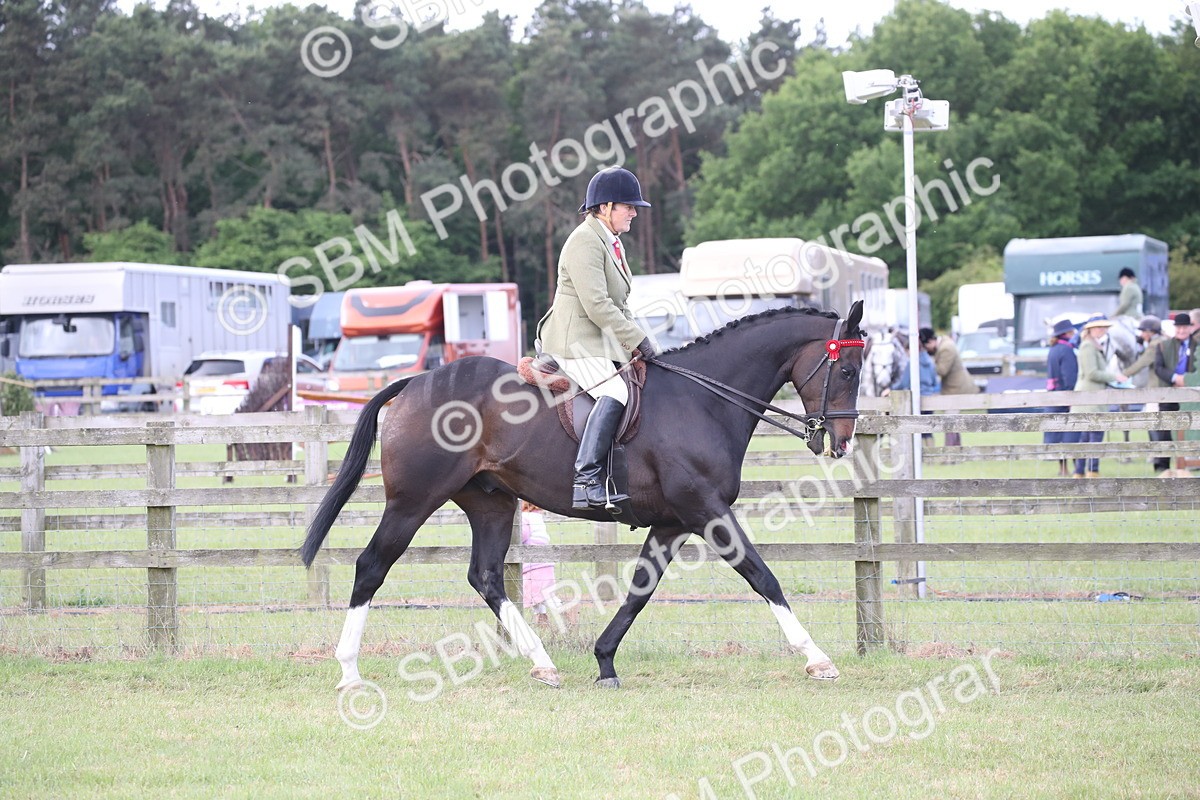 SBM_14149 - Class 113-114 - Retraining of Racehorses Ridden