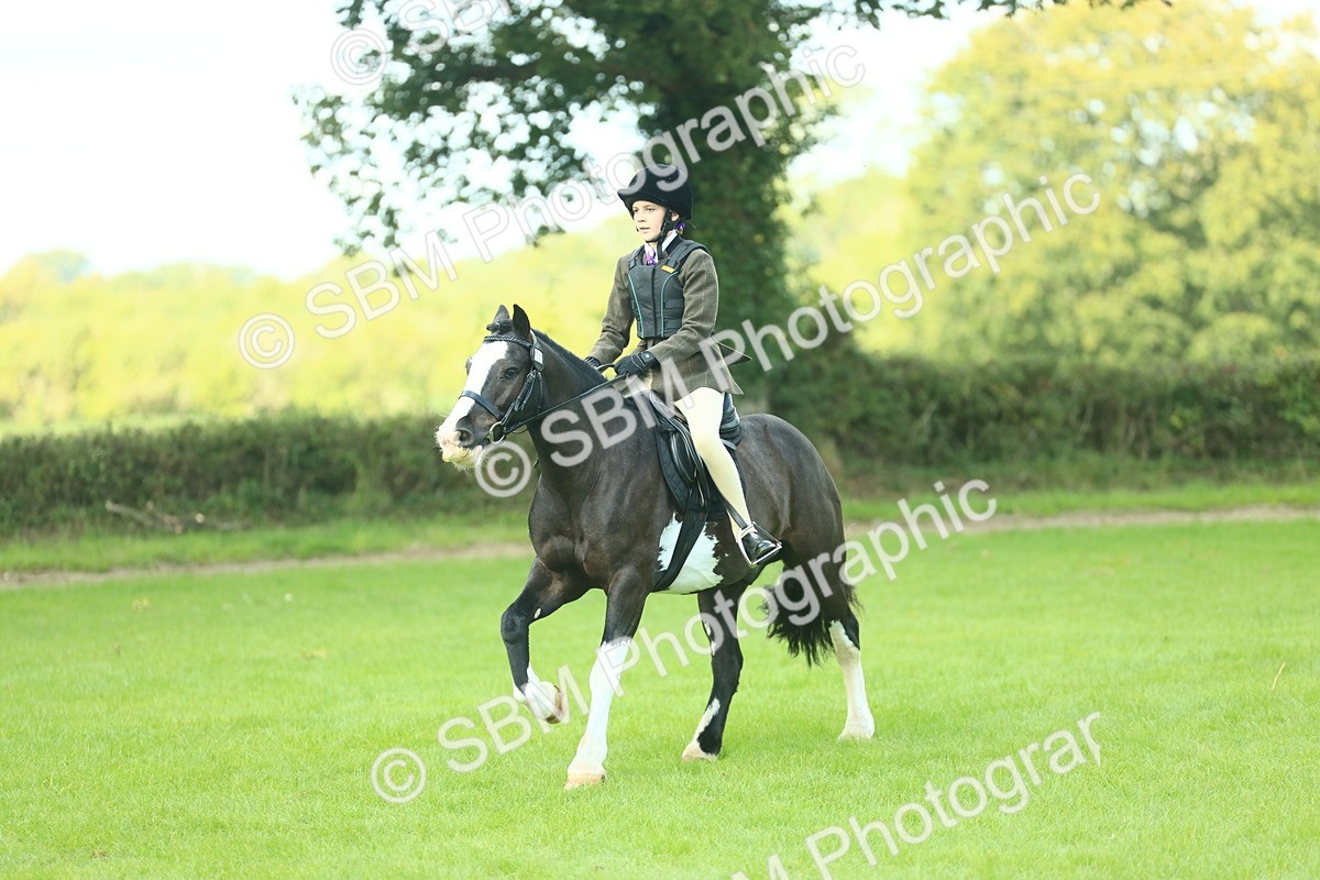 SBM_42024 - S29 - Novice & Newcomers Working Hunter Pony