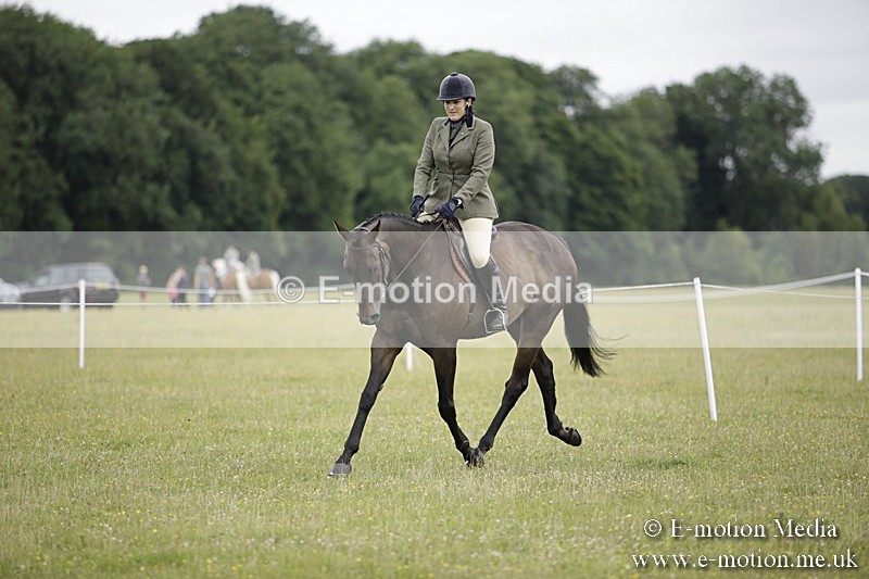 BVR160717-462 - Ring 1 BVRC Show 16/07/17