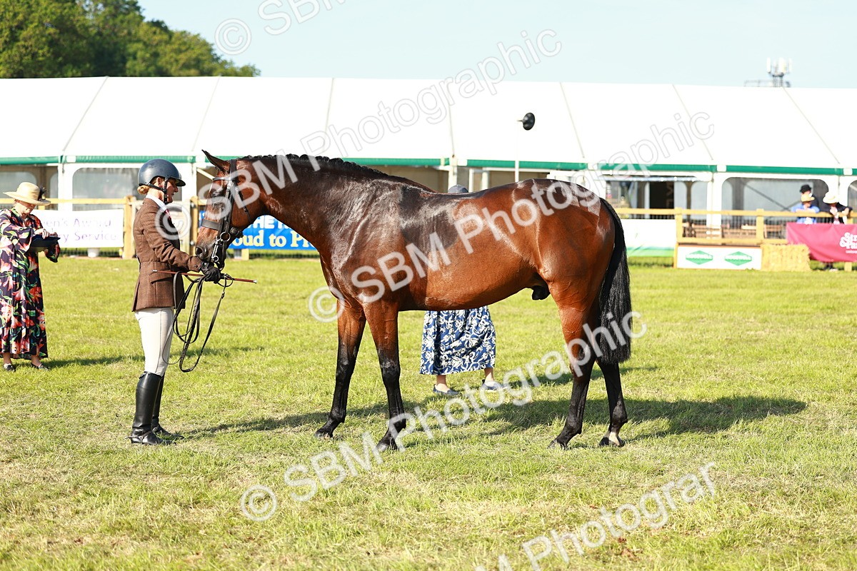 SBM_10799 - Class 66-69 - RIHS Ridden Hunters Inc Small Hunter
