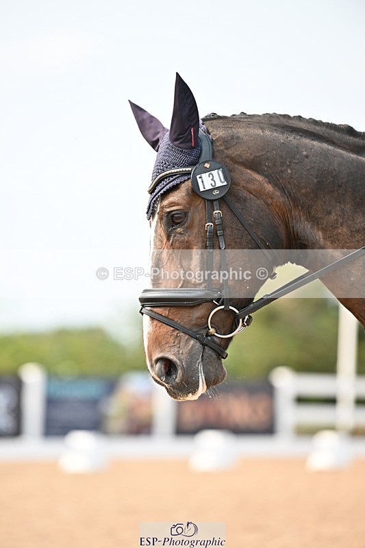 250816-150930-05778 - 130-Donna.BoydVagebond.vd.Withoeve.Z