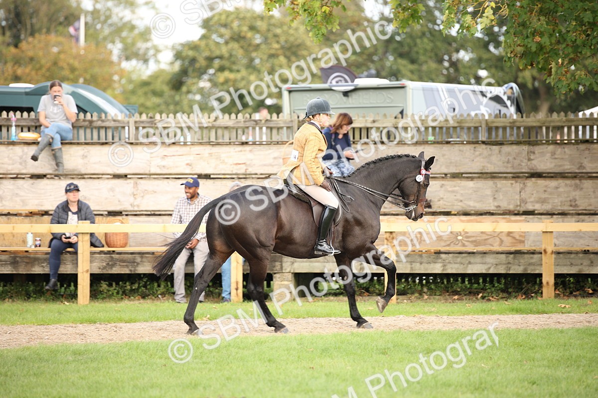 SBM_50230 - S26 - Young Veteran - Ridden