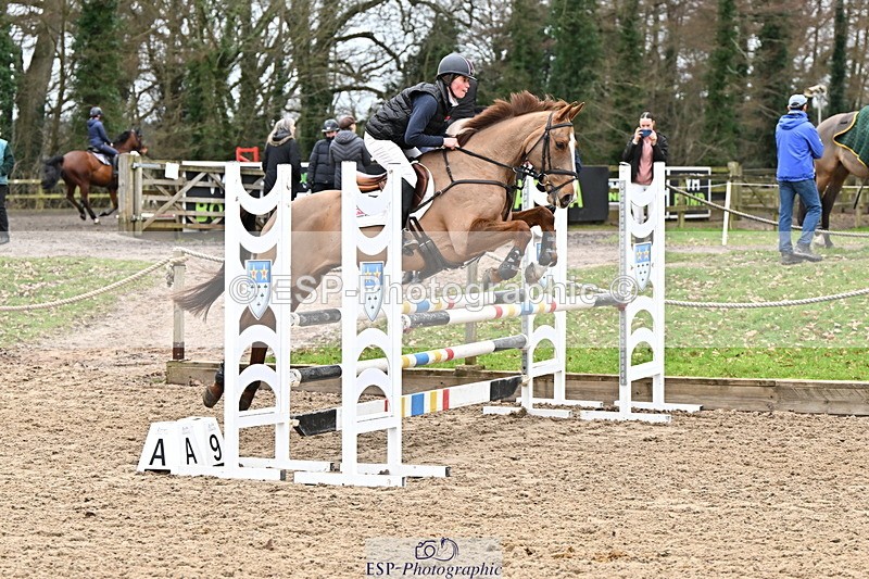 250201A-121619-00633 - Cls 02 Local Horse 100cm