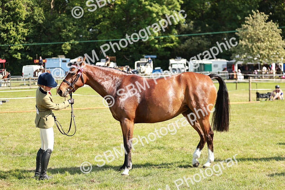 SBM_18920 - Class 114 - RIHS & SEIB Open Working Show Horse