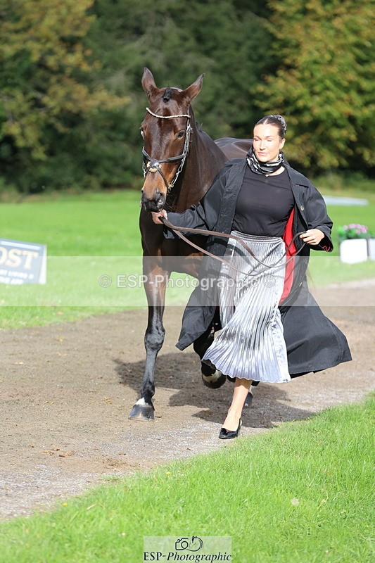 251026A-121213-25950 - G-562-Phoebe.Lagor