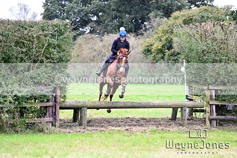 WJ7_1771-001 - Edited examples