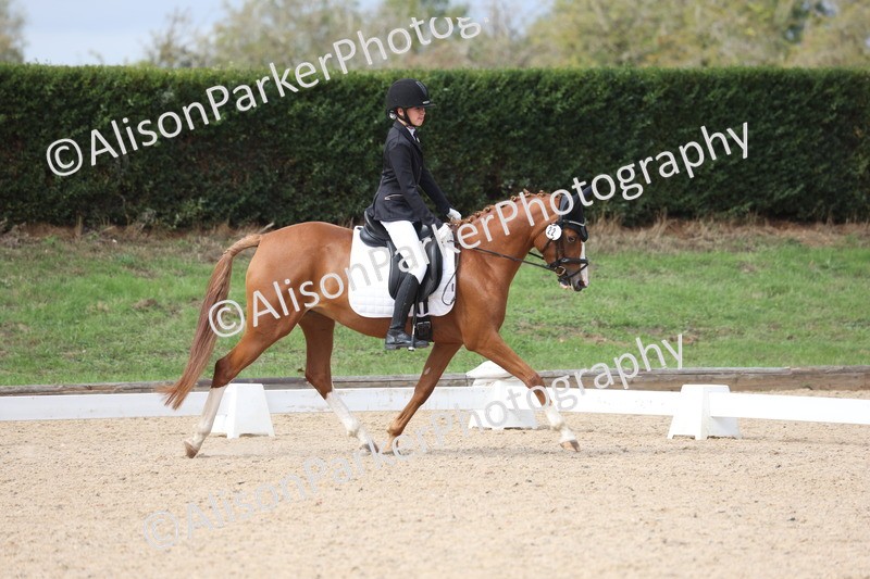 20260912-0595 - Class 5 - Novice 1