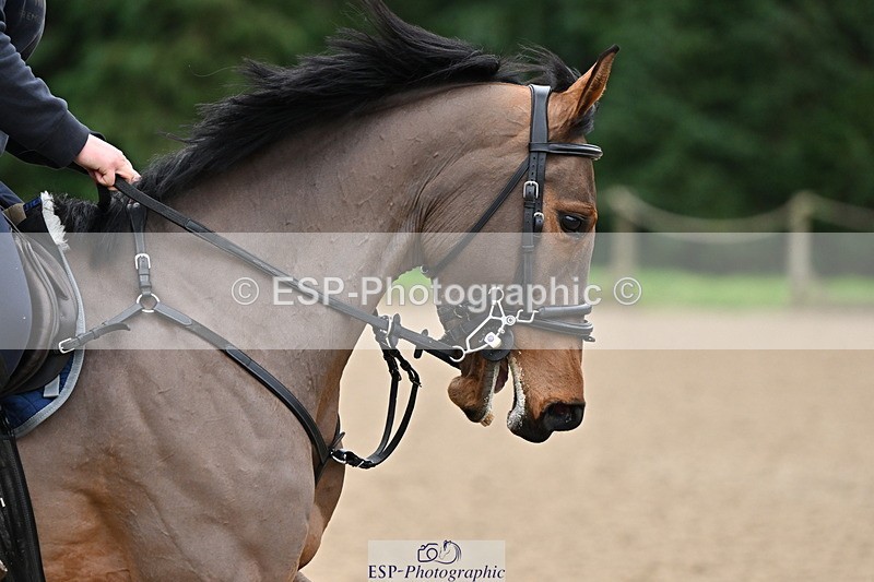 250201A-143822-00995 - Cls 04 Local Horse 120cm