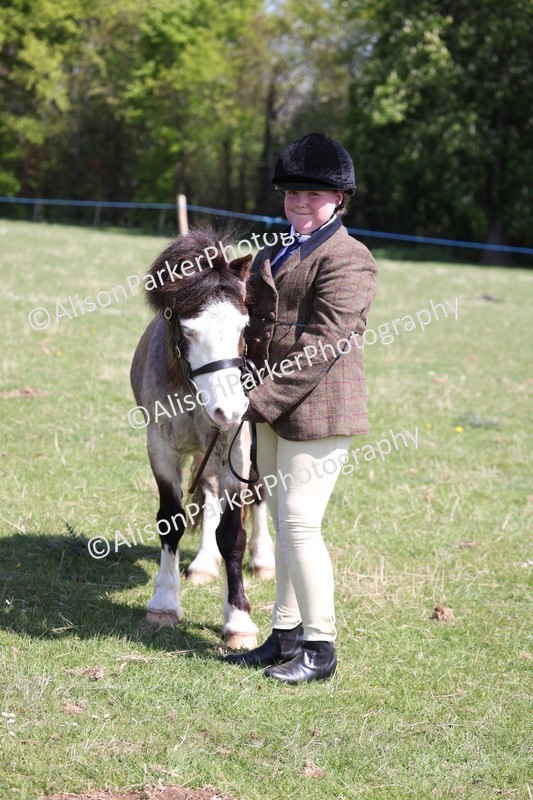 20250427-2986 - Class 27 - Coloured Horse and Pony