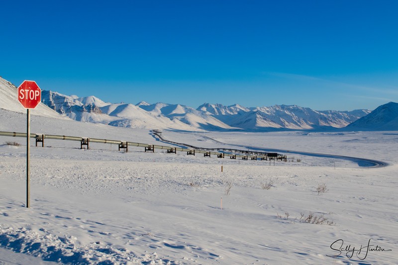 The Dalton Highway 4