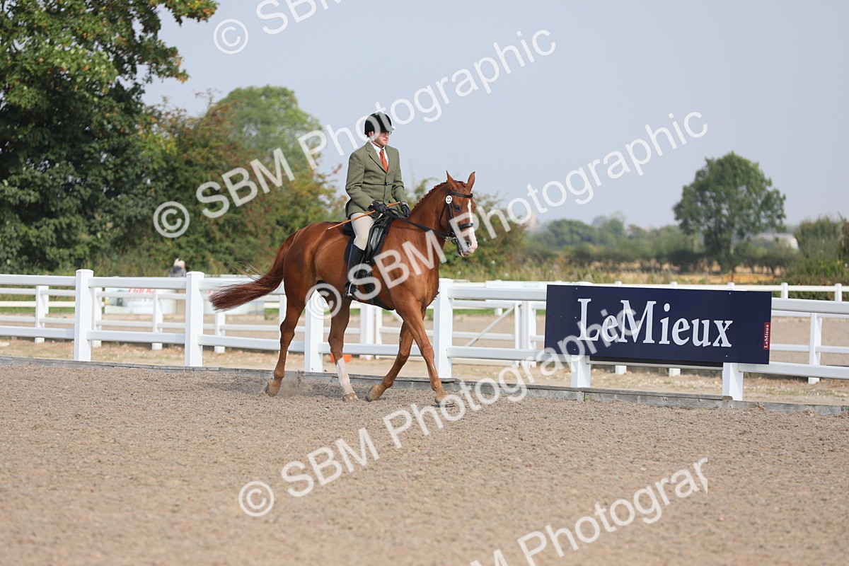 SBM_11333 - Class 305 Ridden Foreign Breeds- Pure Bred