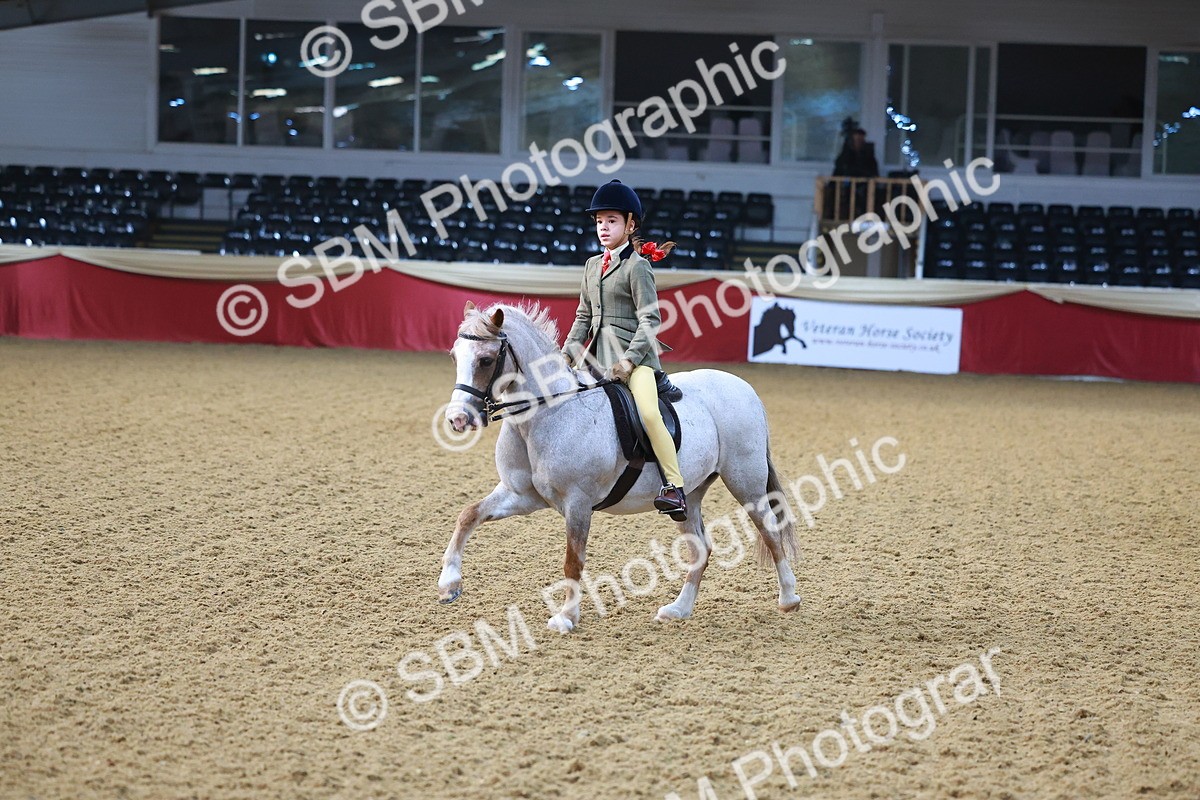 SBM_07678 - Class 101 - HOYS Veteran Qualifier - Ridden Diamond