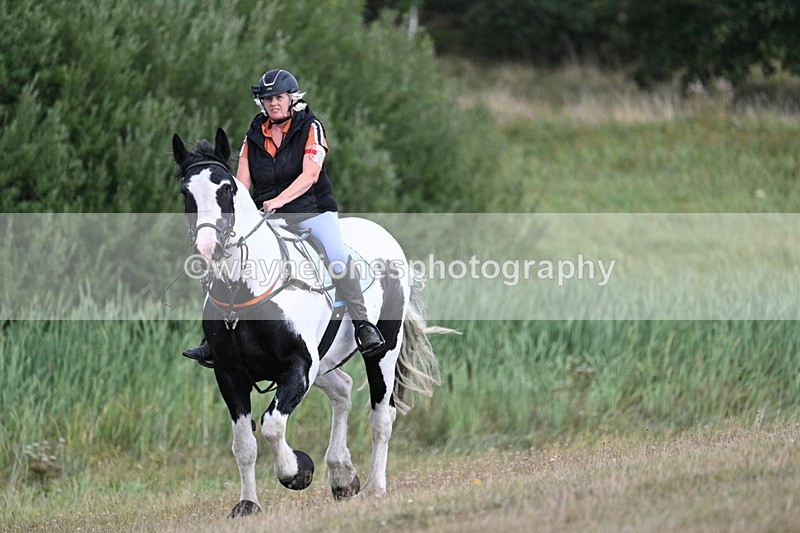 WJ7_5331 - Time 11:22 to 11:41