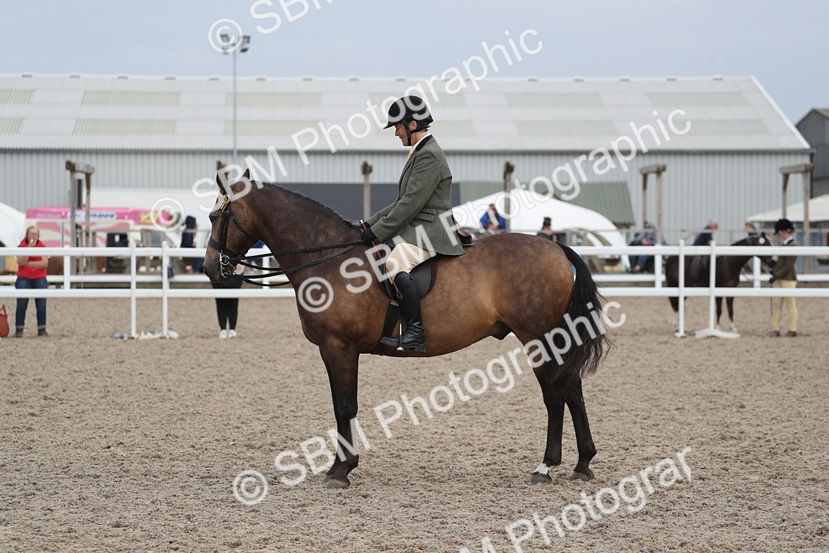 SBM_17388 - Class 315 Best Horse/Rider Combination