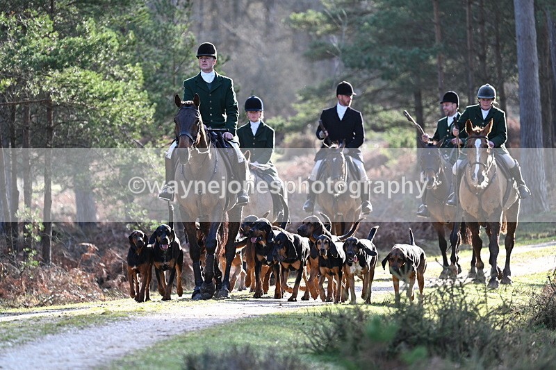 WJ7_7623 - Line 3 (no line 4 or 5)