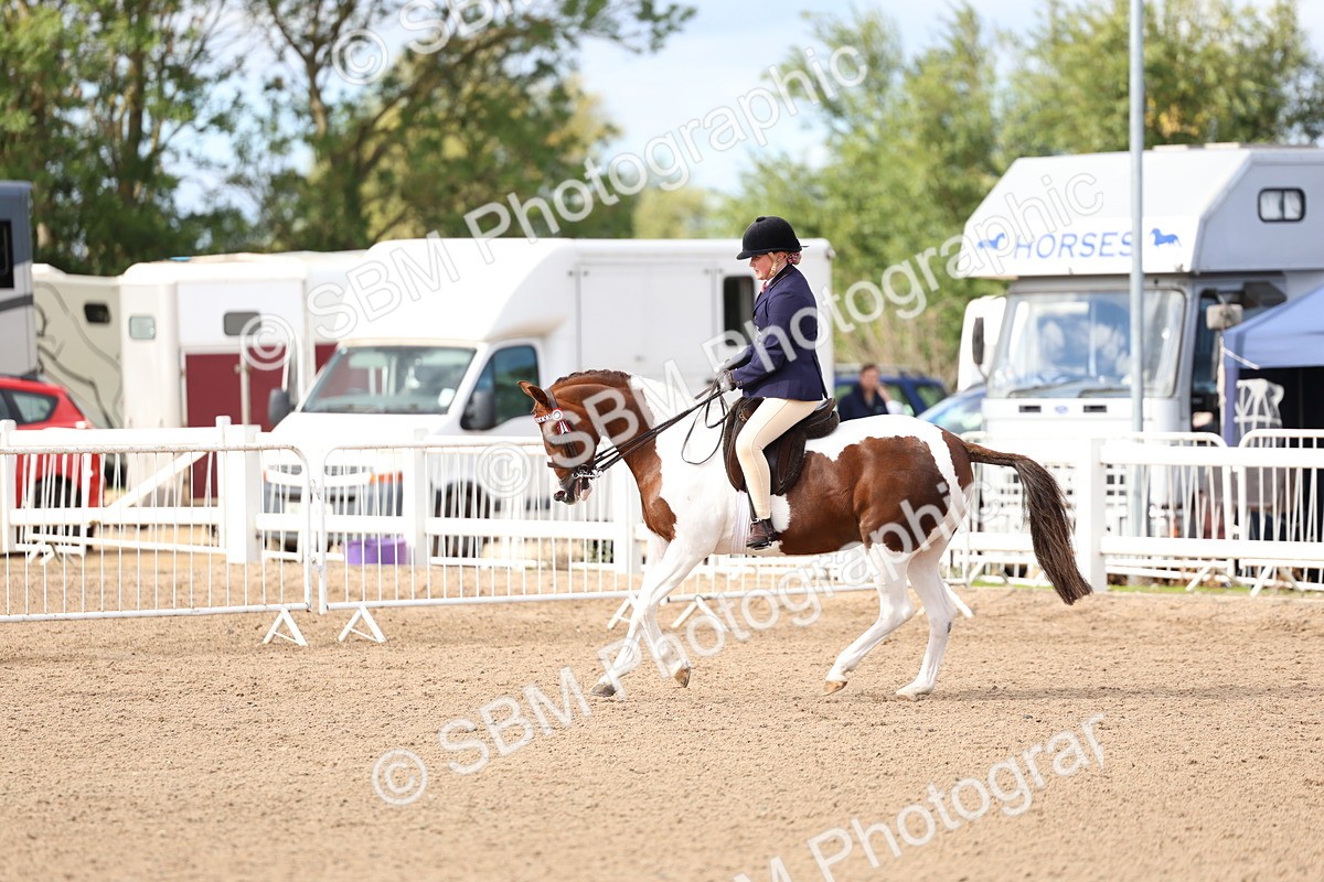 SBM_10065 - Class 304 - Ridden Part Bred Horse Pony