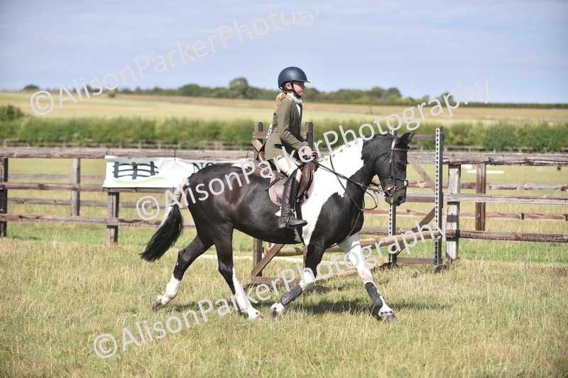 20260906-2655 - Class 12 - 14.2hh and Under