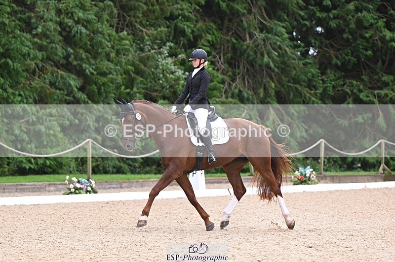 240809-121656-00725 - 185-Daisy.Hedges-Felicia.v