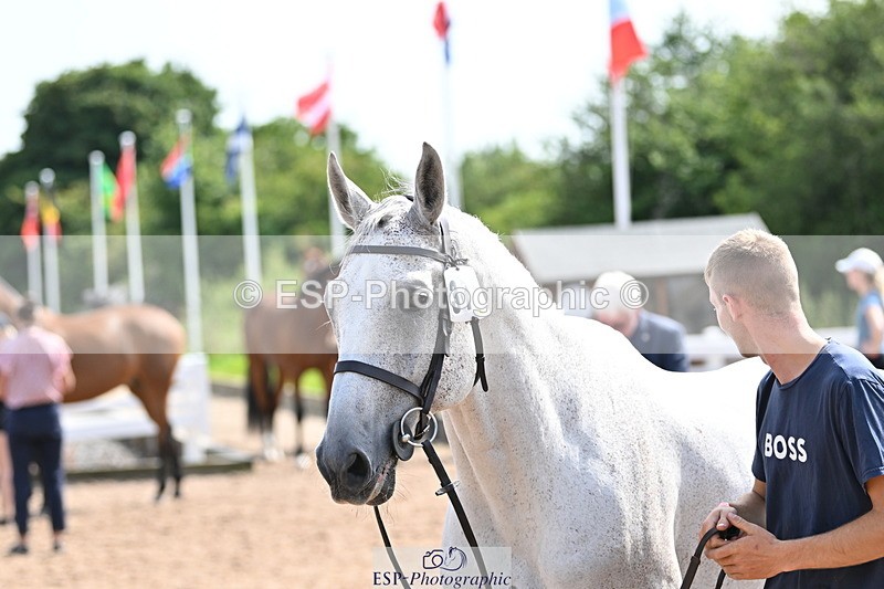 240717A-155131-03112 - Trot Up 3pm to 4pm