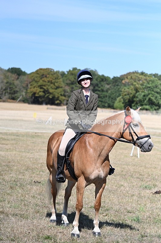 WJ7_1329 - Class 41 Prettiest Mare