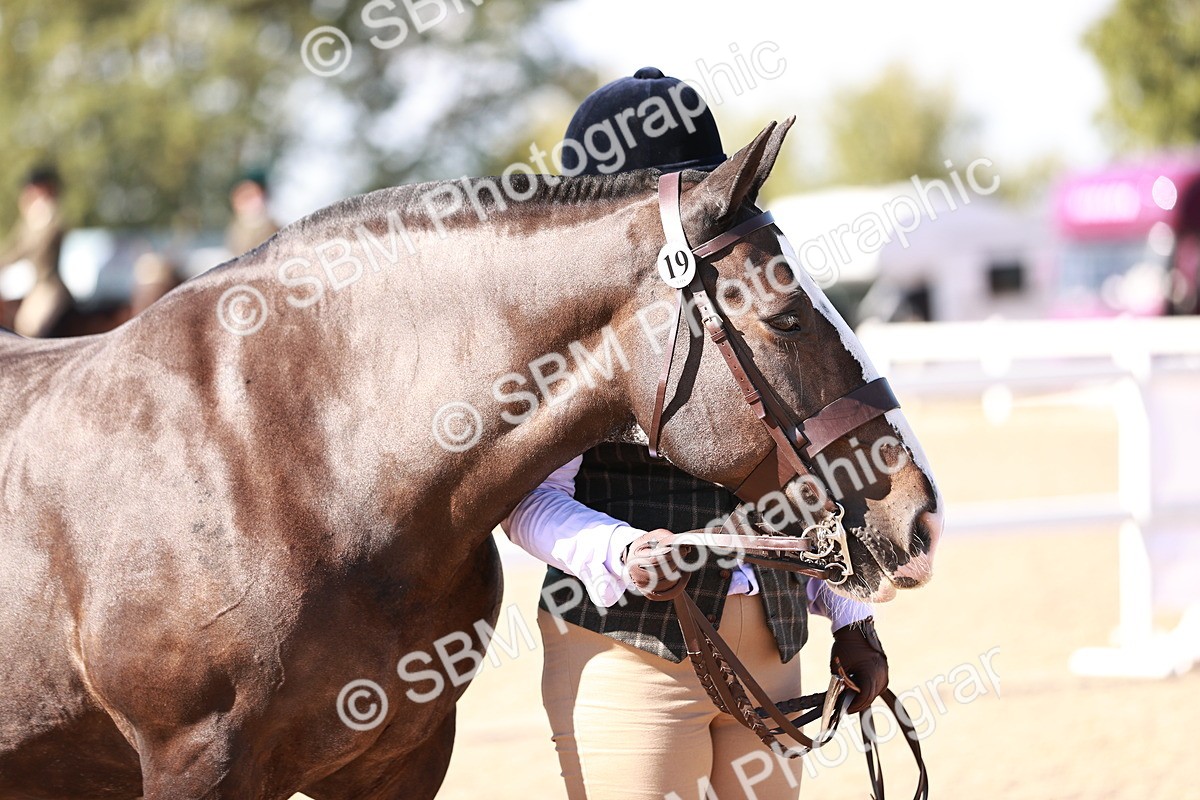 SBM_13242 - Class 405 - IH Show Cob