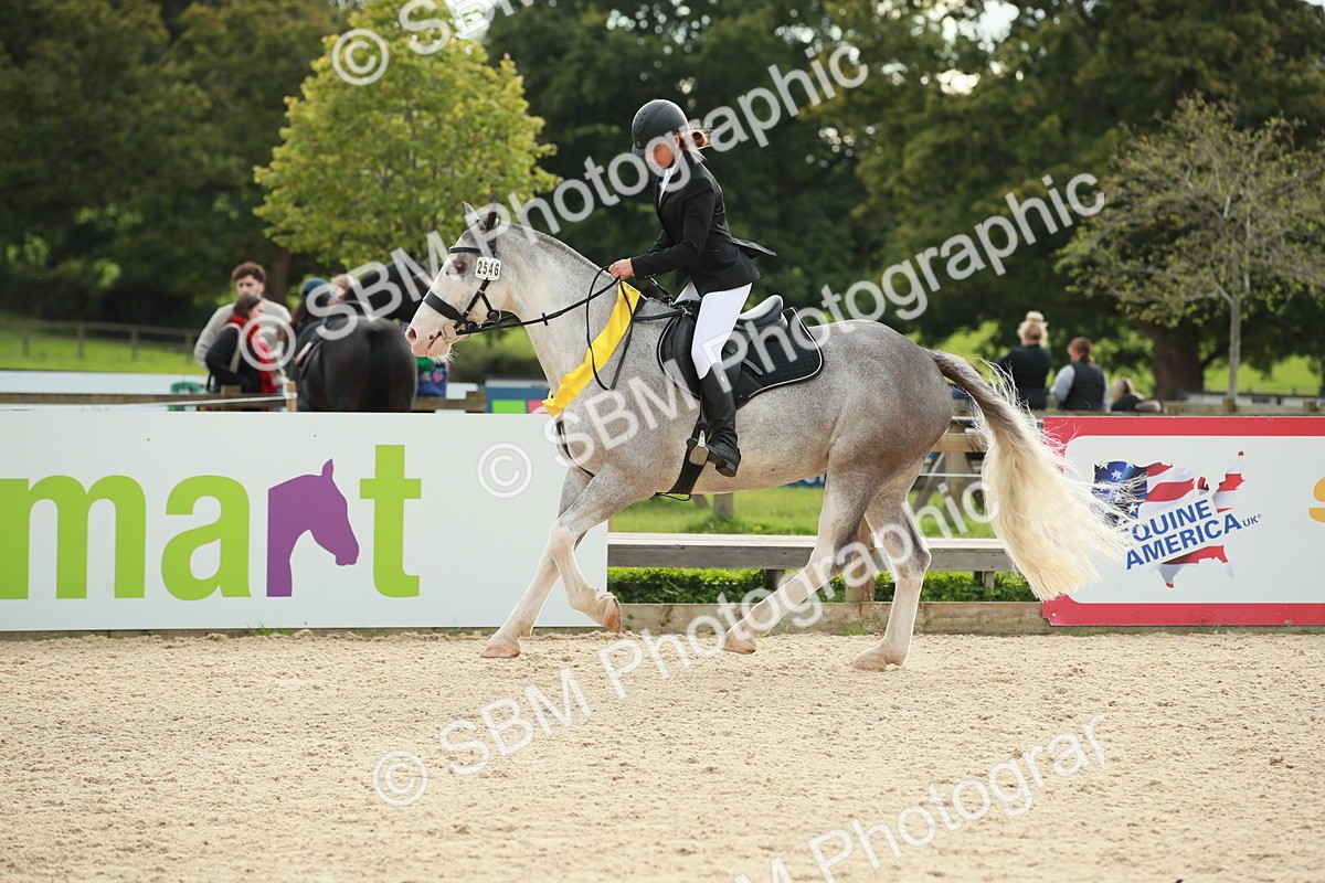 SBM_10279 - J31 Senior 75cm Championship