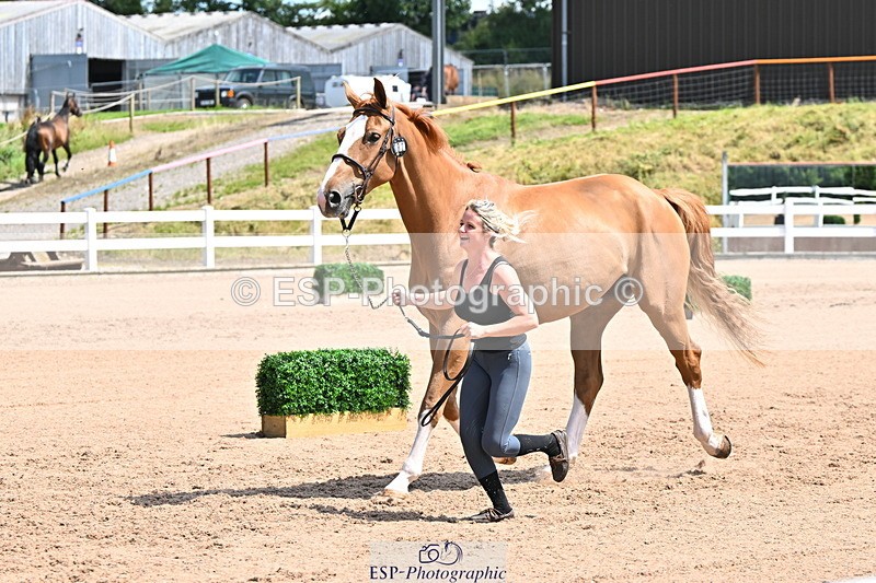 240718A-105251-01240 - Trot Up 12pm to 1pm