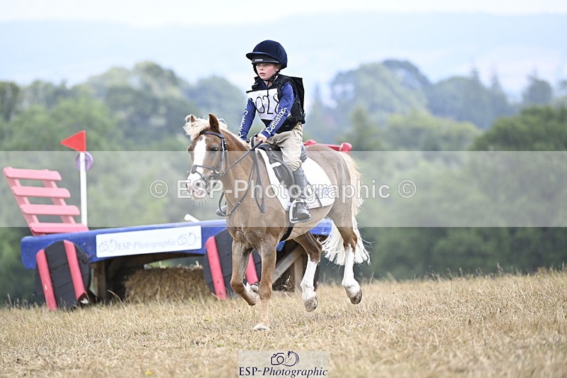 250824A-123100-36375 - 2028-Harry.Honeyball-Sardis.Cassius