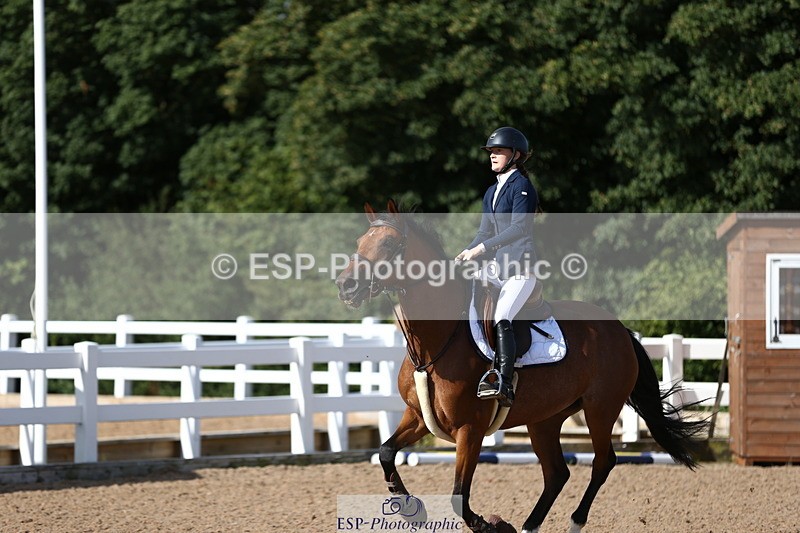 230811A-093016-02864 - Cls 13 A&B Snr Brit Nov & 90cm Open