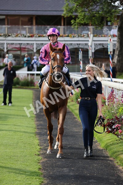 yr23072021r2-38 - Race 2 6.30pm IRE-Incentive It Pays To Buy Irish Stakes